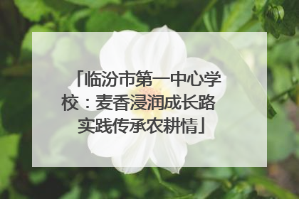 临汾市第一中心学校：麦香浸润成长路 实践传承农耕情