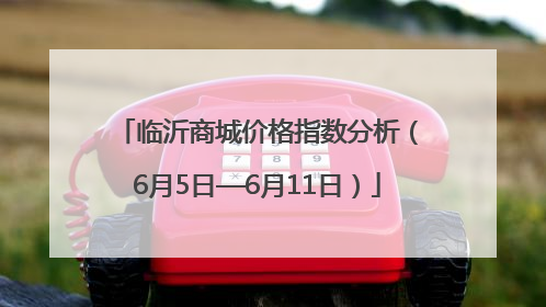 临沂商城价格指数分析（6月5日—6月11日）