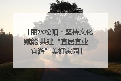 丽水松阳：坚持文化赋能 共建“宜居宜业宜游”美好家园