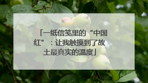 一纸信笺里的“中国红”：让我触摸到了故土最真实的温度