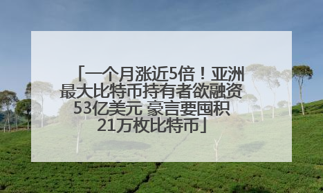 一个月涨近5倍！亚洲最大比特币持有者欲融资53亿美元 豪言要囤积21万枚比特币