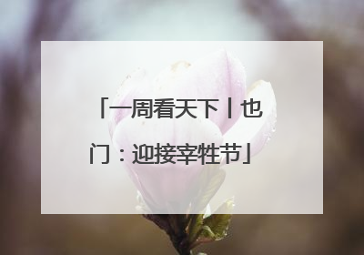 一周看天下丨也门：迎接宰牲节