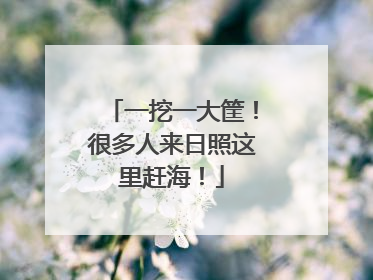 一挖一大筐！很多人来日照这里赶海！