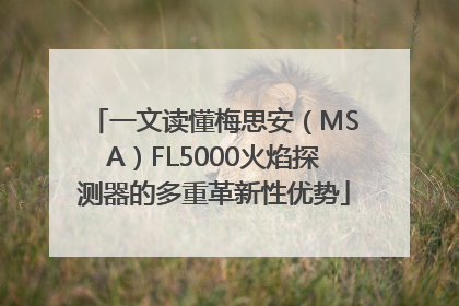 一文读懂梅思安（MSA）FL5000火焰探测器的多重革新性优势