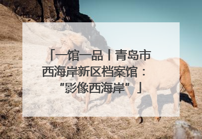 一馆一品丨青岛市西海岸新区档案馆：“影像西海岸”