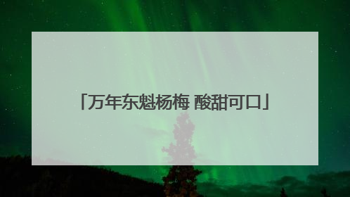 万年东魁杨梅 酸甜可口