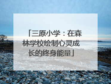 三原小学：在森林学校绘制心灵成长的终身能量