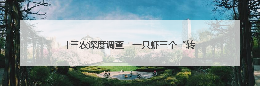 三农深度调查｜一只虾三个“转身”，鱼台小龙虾消费季升级