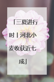三夏进行时丨河北小麦收获近七成