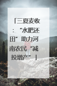 三夏麦收：“水肥还田”助力河南农民“减投增产”