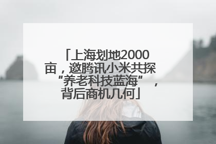 上海划地2000亩，邀腾讯小米共探“养老科技蓝海”，背后商机几何