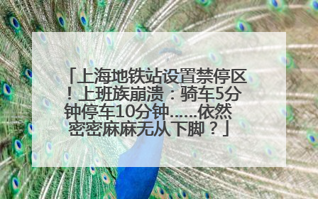上海地铁站设置禁停区！上班族崩溃：骑车5分钟停车10分钟……依然密密麻麻无从下脚？