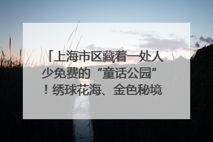 上海市区藏着一处人少免费的“童话公园”！绣球花海、金色秘境……地铁直达→