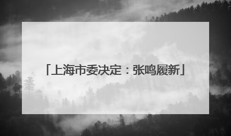 上海市委决定：张鸣履新
