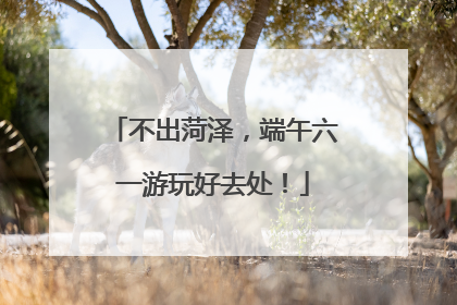 不出菏泽，端午六一游玩好去处！