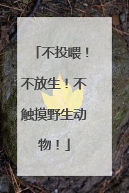 不投喂！不放生！不触摸野生动物！