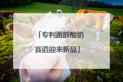 专利菌群酸奶赛道迎来新品