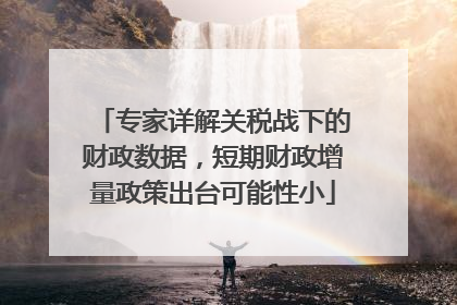 专家详解关税战下的财政数据，短期财政增量政策出台可能性小