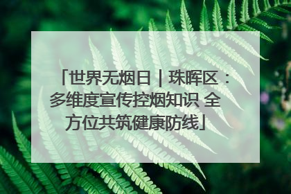 世界无烟日｜珠晖区：多维度宣传控烟知识 全方位共筑健康防线