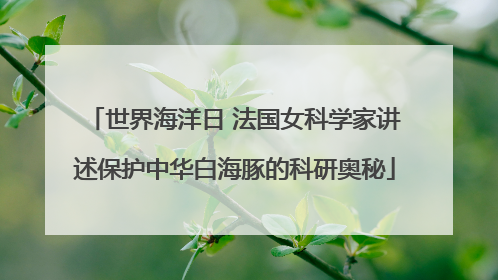 世界海洋日 法国女科学家讲述保护中华白海豚的科研奥秘