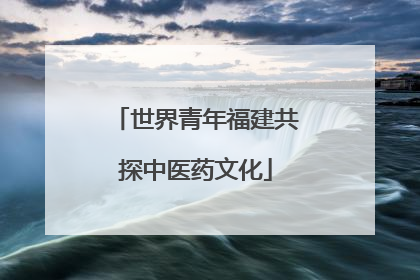 世界青年福建共探中医药文化