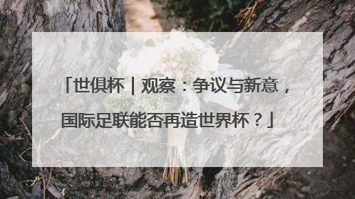 世俱杯｜观察：争议与新意，国际足联能否再造世界杯？