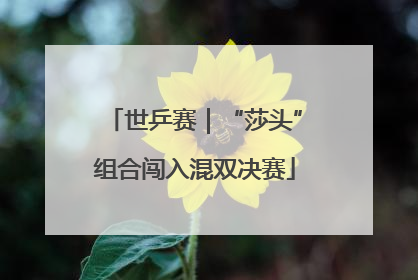 世乒赛｜“莎头”组合闯入混双决赛