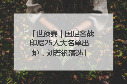 世预赛｜国足客战印尼25人大名单出炉，刘若钒落选