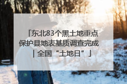 东北83个黑土地重点保护县地表基质调查完成｜全国“土地日”