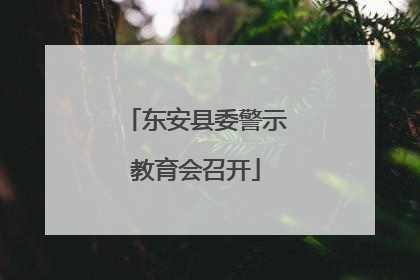 东安县委警示教育会召开