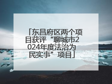 东昌府区两个项目获评“聊城市2024年度法治为民实事”项目