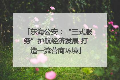 东海公安：“三式服务”护航经济发展 打造一流营商环境