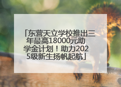 东营天立学校推出三年最高18000元助学金计划！助力2025级新生扬帆起航