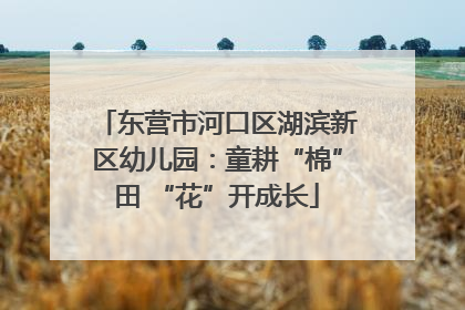 东营市河口区湖滨新区幼儿园：童耕“棉”田 “花”开成长