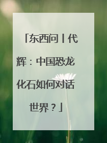 东西问丨代辉：中国恐龙化石如何对话世界？