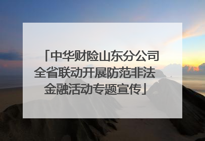中华财险山东分公司全省联动开展防范非法金融活动专题宣传