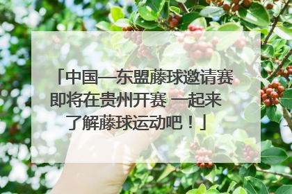 中国—东盟藤球邀请赛即将在贵州开赛 一起来了解藤球运动吧！