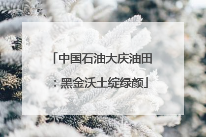 中国石油大庆油田：黑金沃土绽绿颜