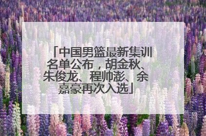 中国男篮最新集训名单公布，胡金秋、朱俊龙、程帅澎、余嘉豪再次入选
