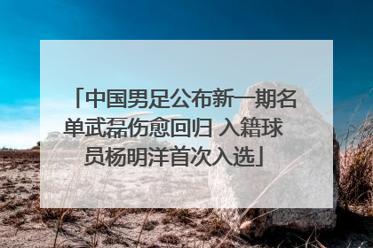 中国男足公布新一期名单武磊伤愈回归 入籍球员杨明洋首次入选