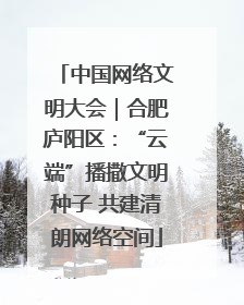 中国网络文明大会｜合肥庐阳区：“云端”播撒文明种子 共建清朗网络空间