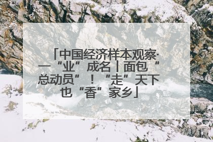 中国经济样本观察·一“业”成名丨面包“总动员”！“走”天下也“香”家乡