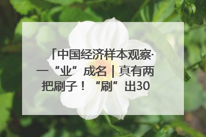 中国经济样本观察·一“业”成名｜真有两把刷子！“刷”出30亿级“颜值经济”