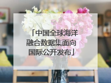 中国全球海洋融合数据集面向国际公开发布