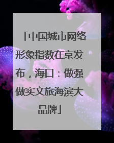 中国城市网络形象指数在京发布，海口：做强做实文旅海滨大品牌