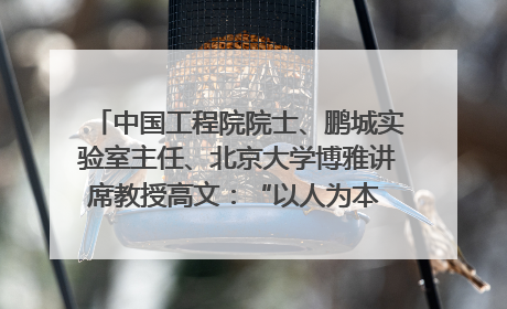 中国工程院院士、鹏城实验室主任、北京大学博雅讲席教授高文：“以人为本 智能向善” 推动文化与科技相生相促｜聚焦2025文化强国建设高峰论坛