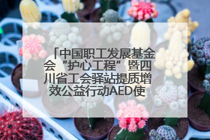 中国职工发展基金会“护心工程”暨四川省工会驿站提质增效公益行动AED使用培训在达州举行