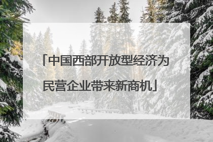 中国西部开放型经济为民营企业带来新商机