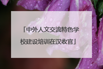 中外人文交流特色学校建设培训在汉收官