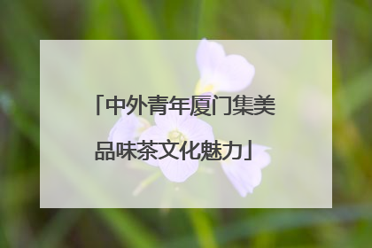 中外青年厦门集美品味茶文化魅力